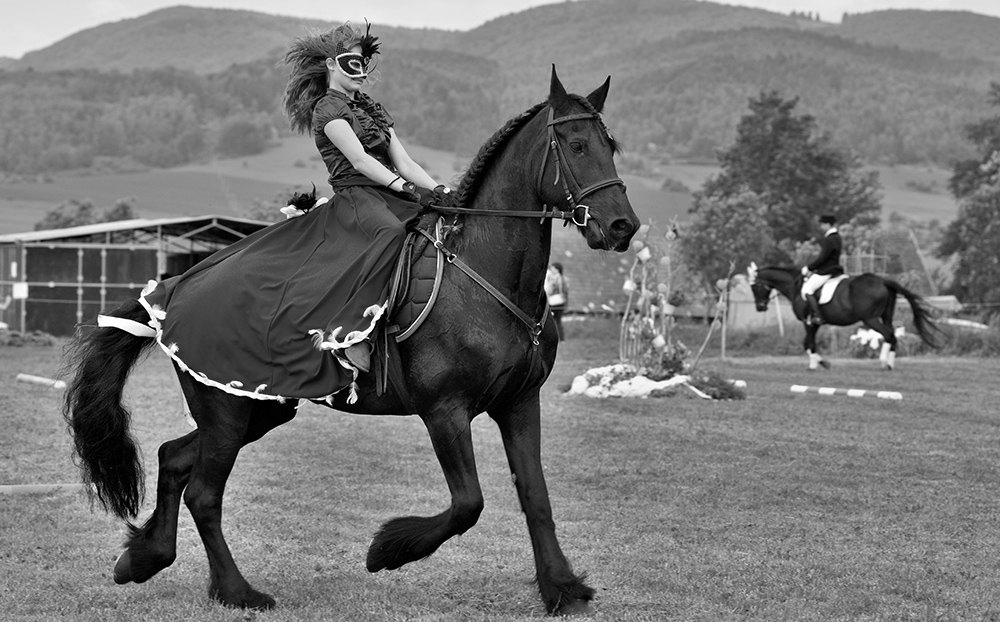Svet koní o Výstave koní v Kaľamenovej